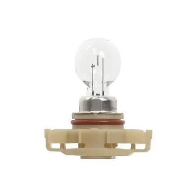 12V 24W YENİ SİNYAL AMPULU                  12276
